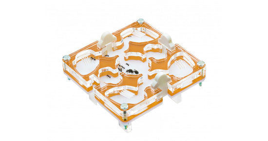 10x10x1,5 cms modulaire sans système d&