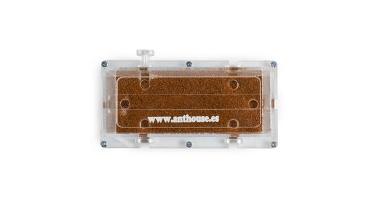 10x20x7cms boîte à nourriture modulable  champignon