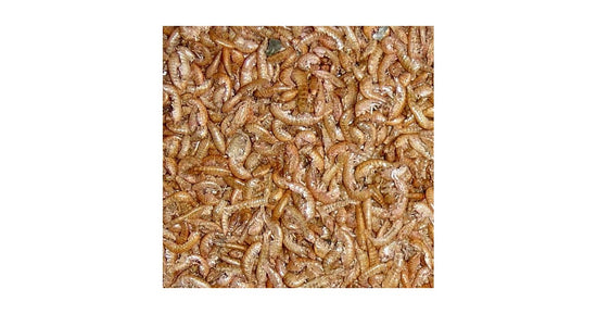 25 gr de Gammarus déshydraté