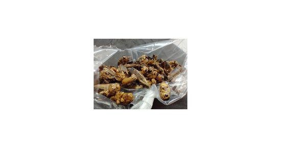 25 gr de grillons déshydratés