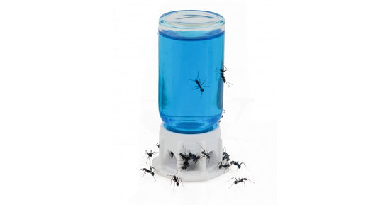 Abreuvoire 3D ml pour fourmis