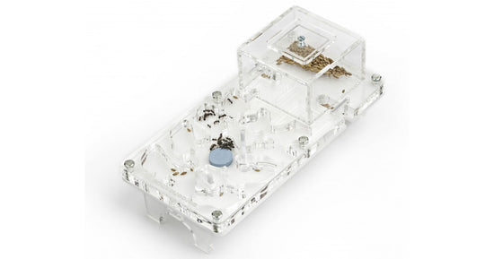 Acrylique NaturColor Champignon 20x10x1cms