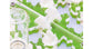 Antcrilic modulaire 10x10x1,5 cm