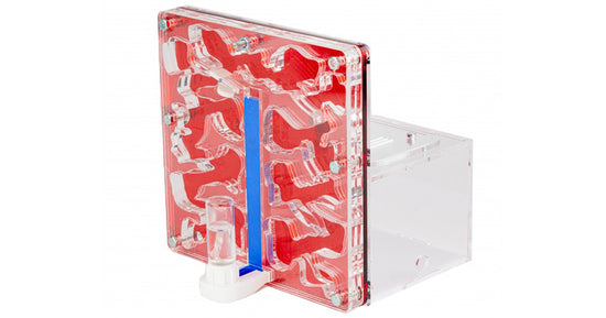 AntCubex 15x15x1,5cms Éponge Avec Dépôt