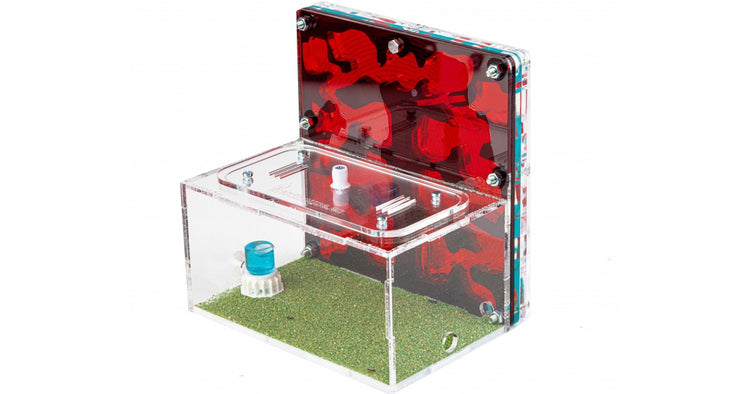 Fourmilières génériques