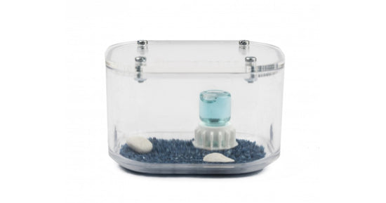 Antcubik-Caisse de nourriture Mini