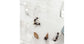 AntHouse-Hori-Acri 40x30x1,5 (Type Champignon)
