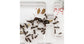 AntHouse-Hori-Acri 40x30x1,5 (Type Champignon)