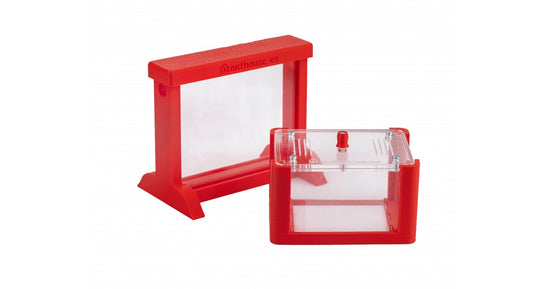 AntHouse Kit 3D basique avec reine et fourmis GRATUIT