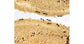 AntHouse Kit 3D -L- Sand Antill avec reine et fourmis GRATUIT
