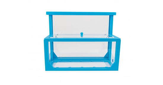 AntHouse Kit 3D -L- Sand Antill avec reine et fourmis GRATUIT