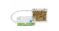 AntHouse Kit  avec reine et fourmis GRATUIT