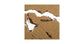 AntHouse Kit -L- Sand Antill avec reine et fourmis GRATUIT