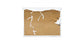 AntHouse Kit -L- Sand Antill avec reine et fourmis GRATUIT