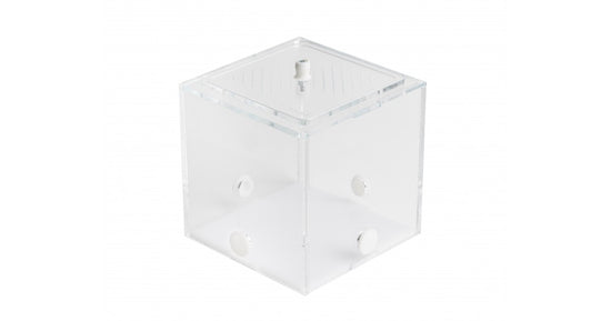 Boîte de recherche de nourriture en acrylique 10x10x10 cms