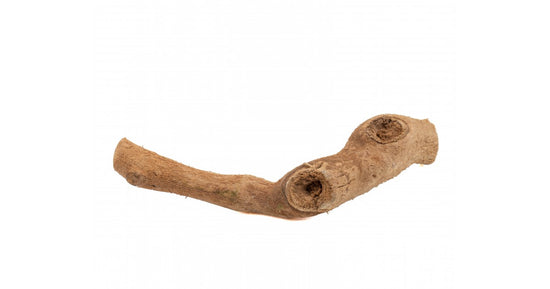 Branche naturelle