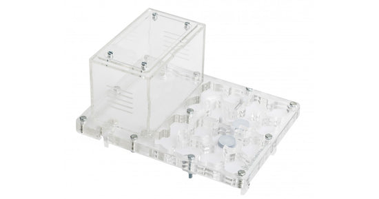 Champignon Acrylique NaturColor 20x15x1,5cms