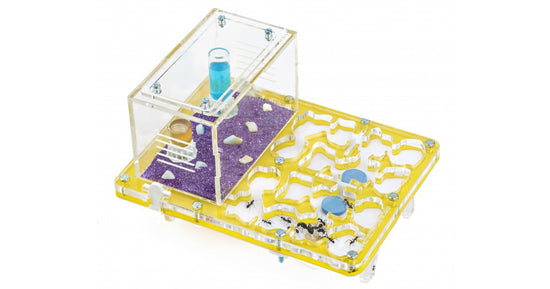 Champignon Acrylique NaturColor 20x15x1,5cms