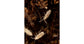 Culture de collembolo  (Tropical White) 500cc