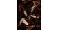 Culture de collembolo  (Tropical White) 500cc