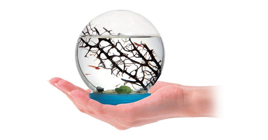 Écosystème Aquatique - Aquarium Crevettes - Biosphère (Crevettes incluses)
