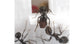 Feeder 3D - Semis pour fourmis granivores