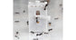 Feeder 3D - Semis pour fourmis granivores
