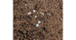 Island Soil 500gr