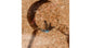 Kit AntHouse Liège Acrylique (avec fourmis incluses)