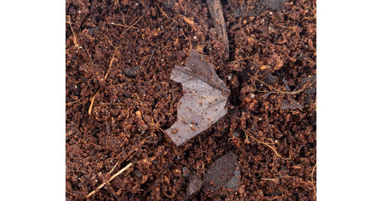 Substrat bioactif avec microfaune